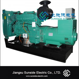 250kVA fabrică de generatoare cu trei faze